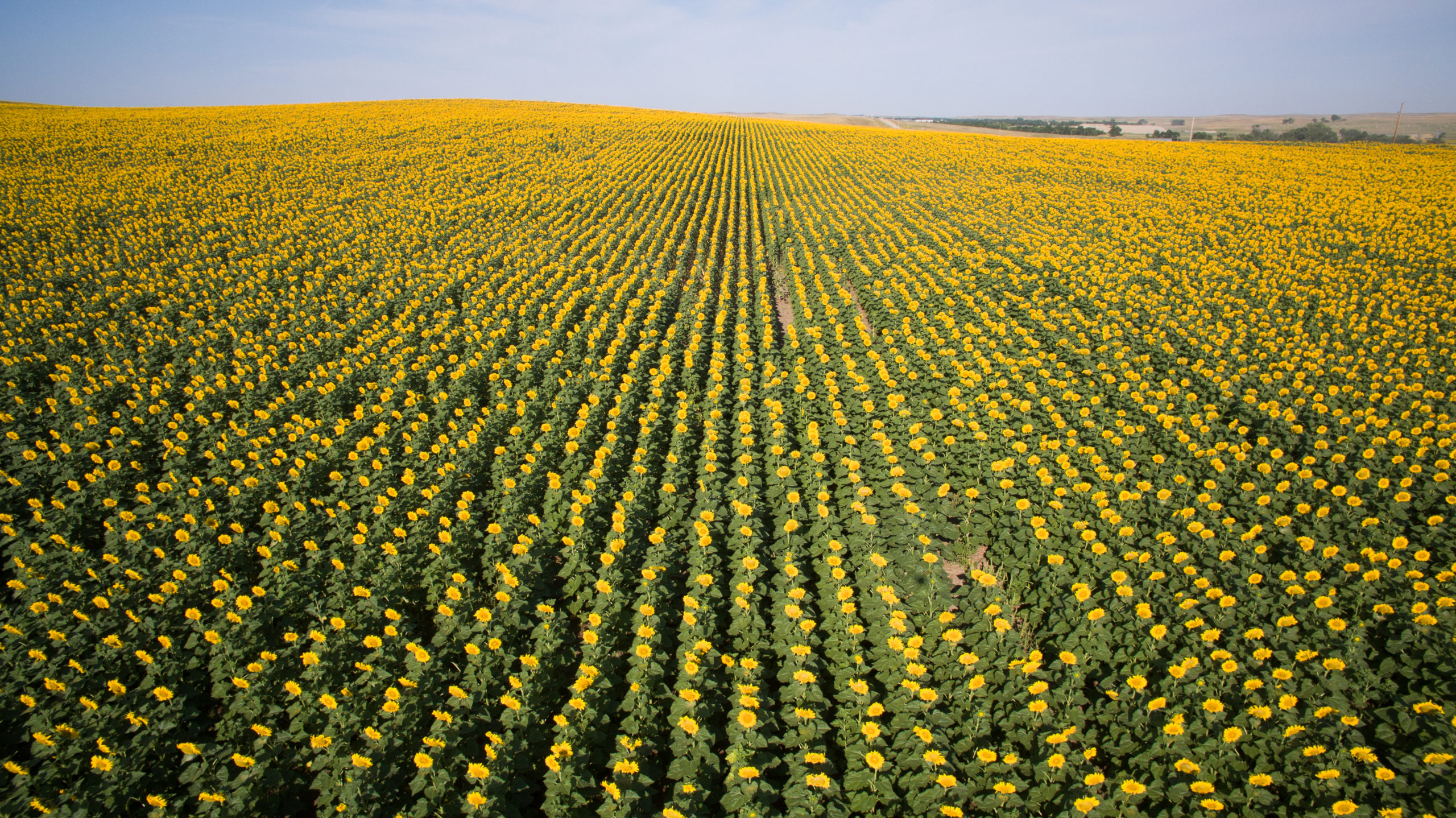 Ag Management Partners LLC photo